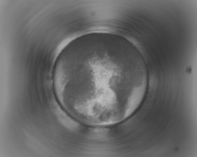 X0000110721466200907022035