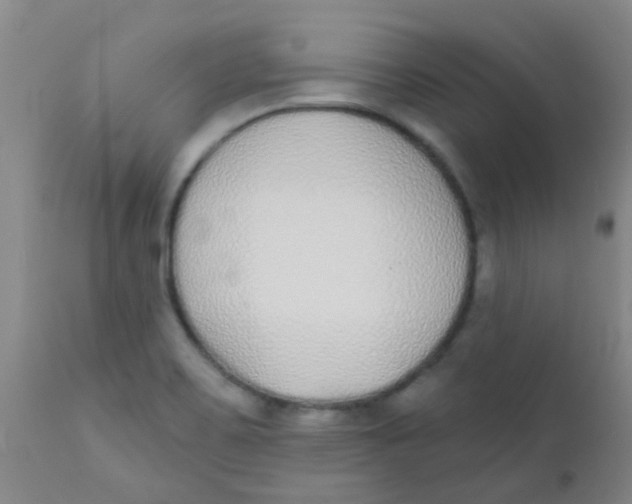 X0000110721467200907022035