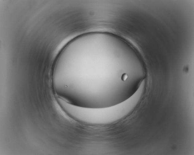 X0000110721468200907022035