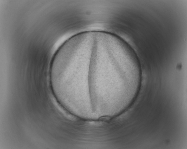 X0000110721469200907022035