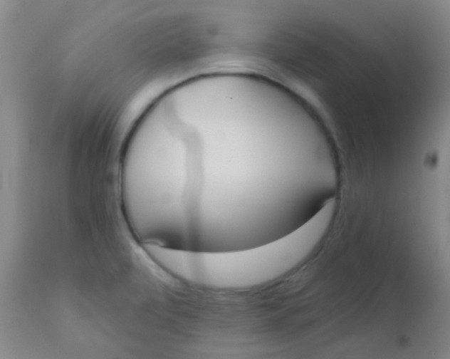 X0000110721472200907022035