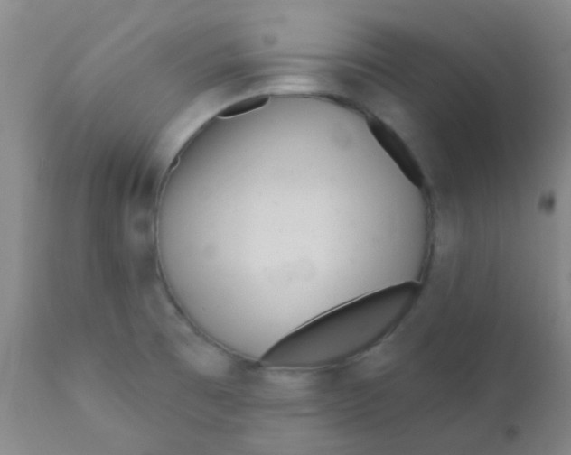 X0000110721473200907022035