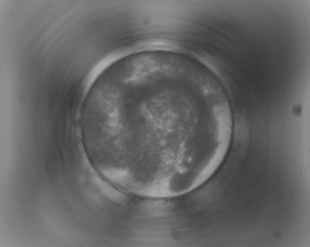 X0000110721474200907022035