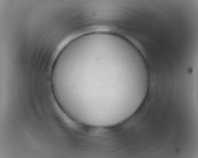 X0000110721475200907022035