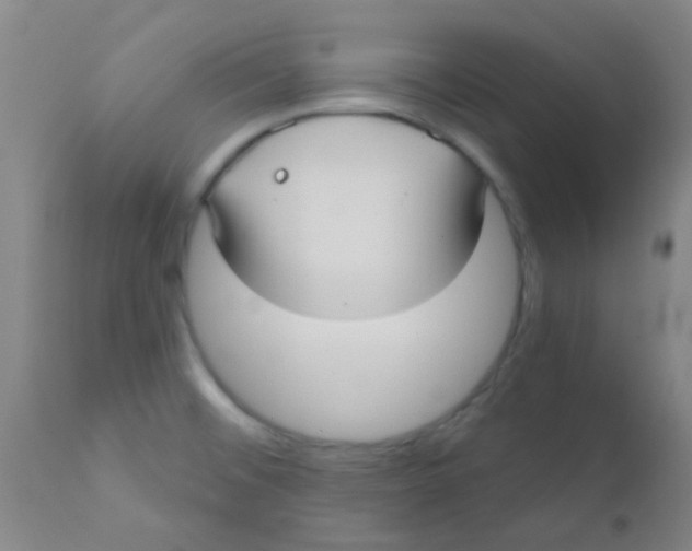 X0000110721476200907022035