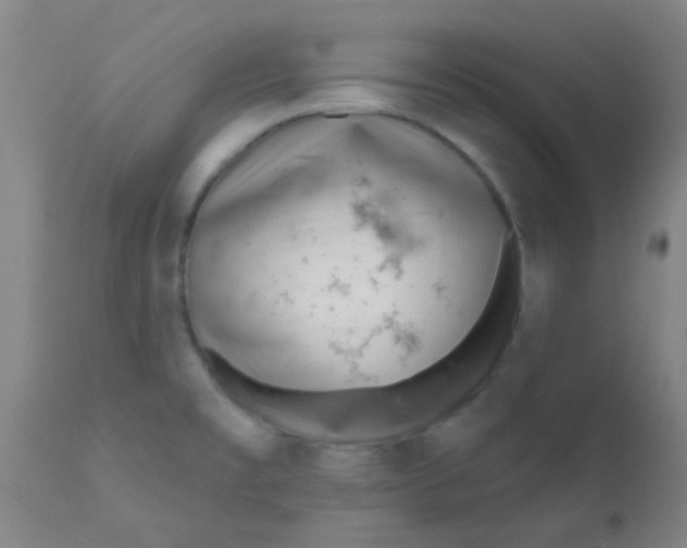 X0000110721477200907022035