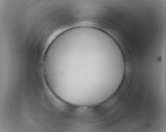 X0000110721478200907022035