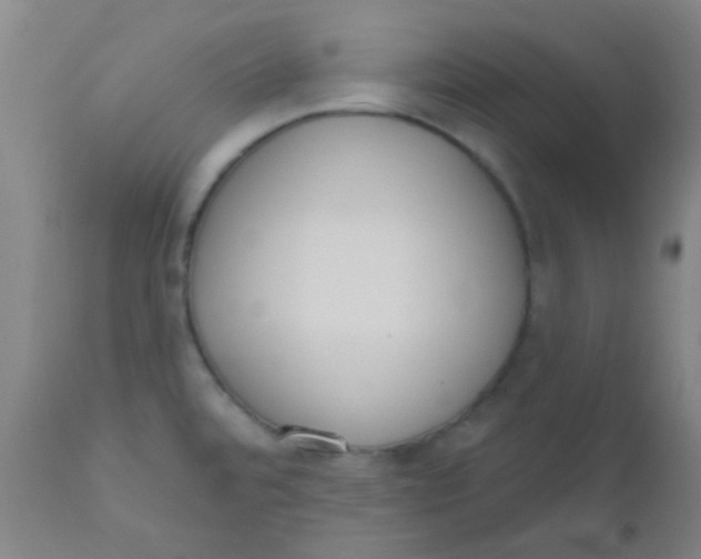 X0000110721480200907022035