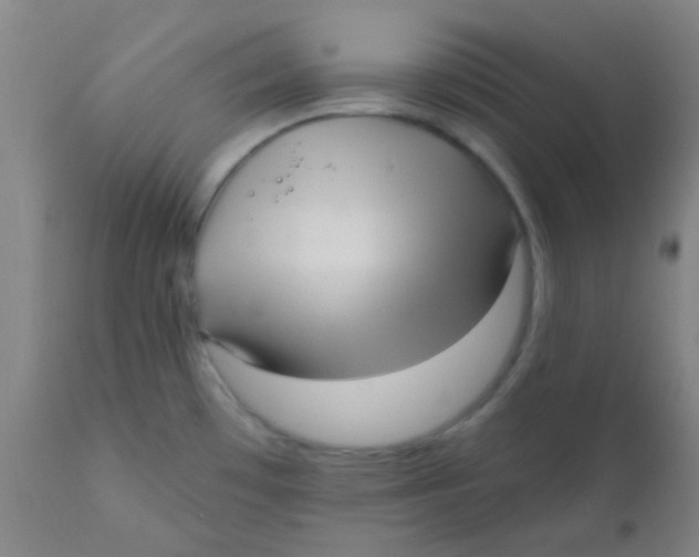 X0000110721481200907022035