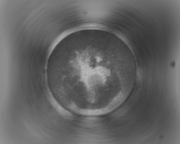 X0000110721482200907022035