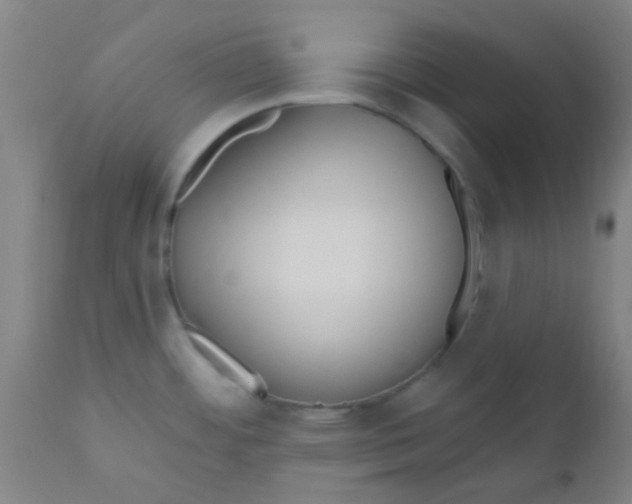 X0000110721484200907022035