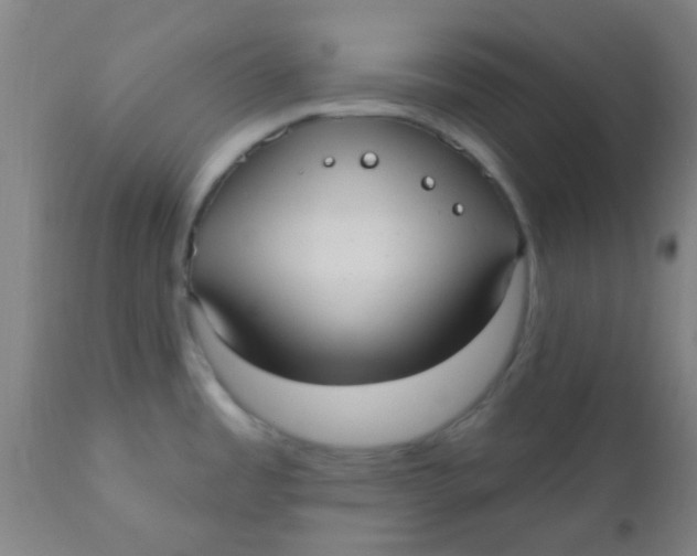 X0000110721485200907022035