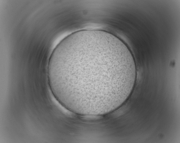 X0000110721487200907022035