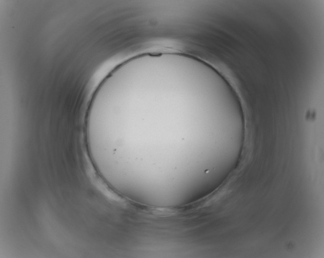 X0000110721488200907022035