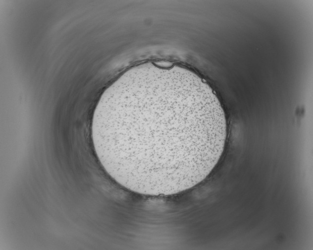 X0000110721489200907022034