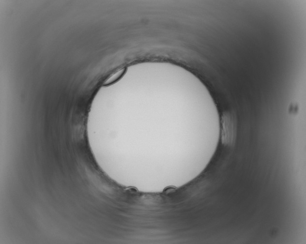 X0000110721491200907022034