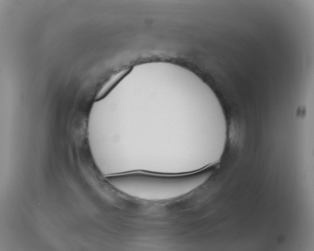 X0000110721492200907022034