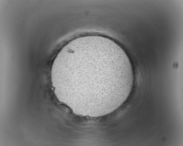 X0000110721494200907022034