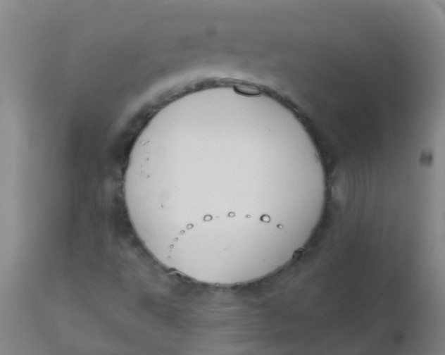 X0000110721495200907022034