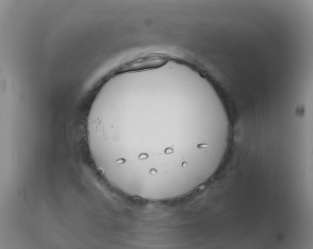 X0000110721496200907022034