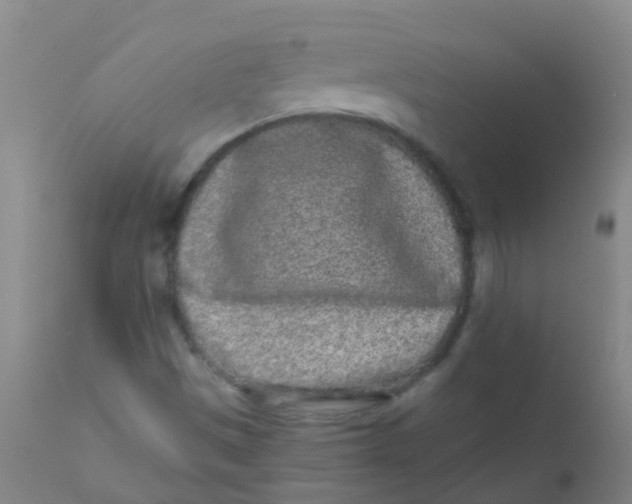 X0000110721497200907022034