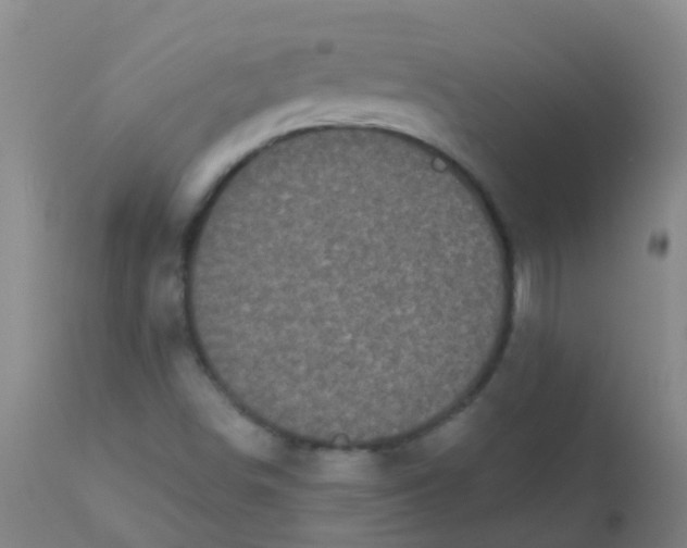 X0000110721498200907022034