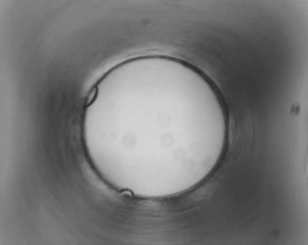 X0000110721500200907022034