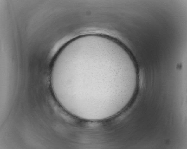 X0000110721501200907022034