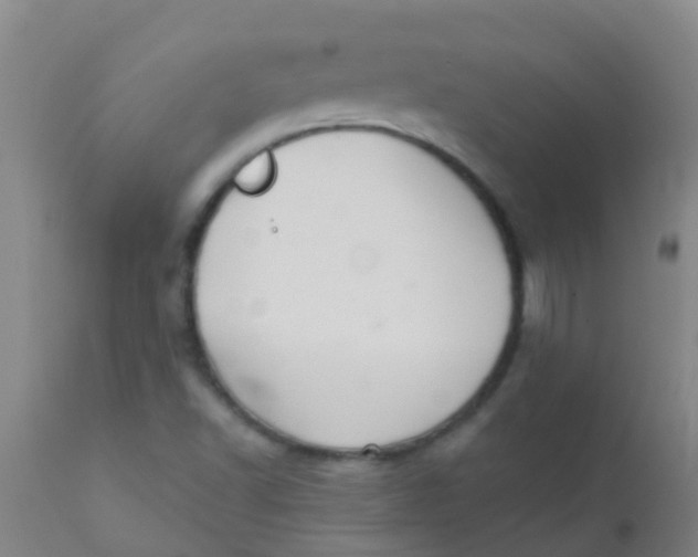 X0000110721502200907022034