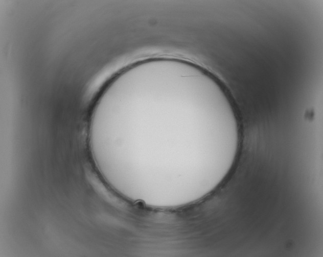 X0000110721503200907022034