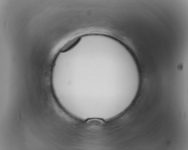 X0000110721504200907022034