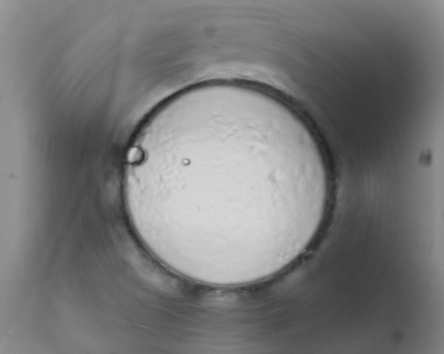 X0000110721505200907022034