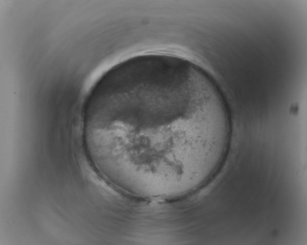 X0000110721506200907022034