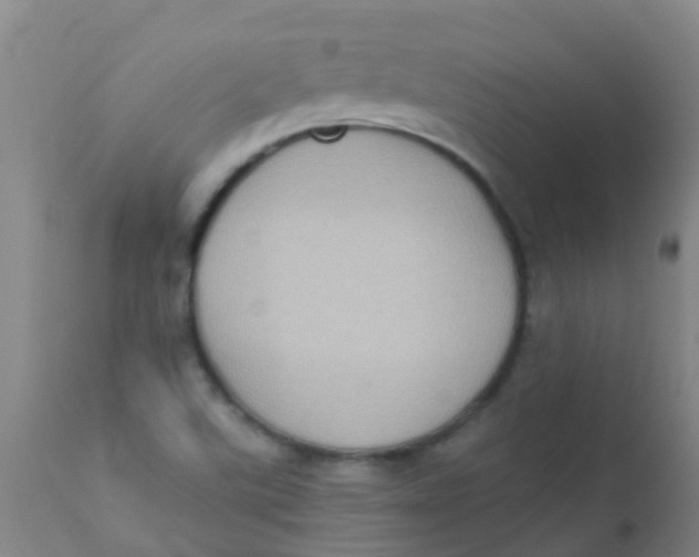 X0000110721507200907022034