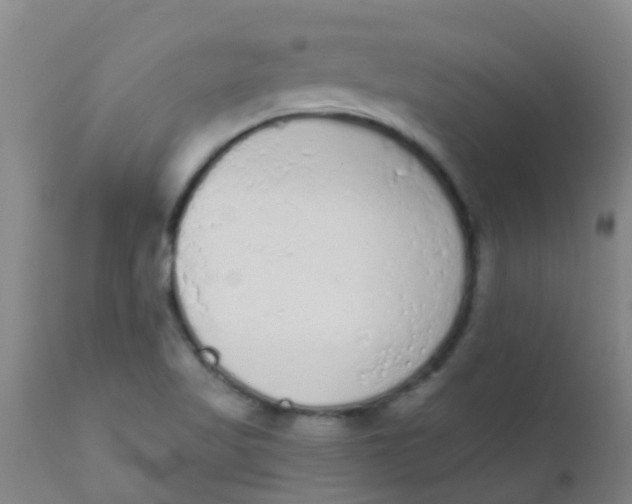 X0000110721509200907022034