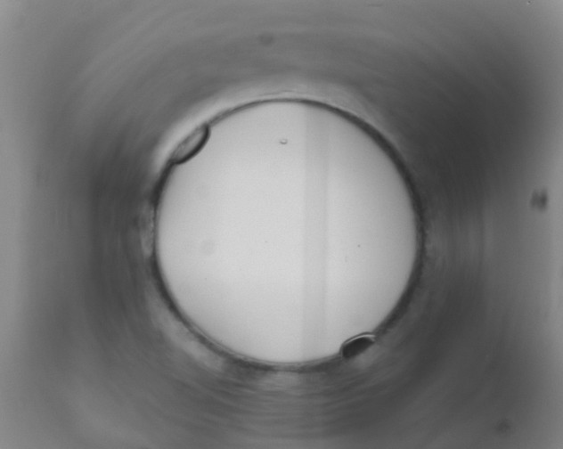 X0000110721510200907022034