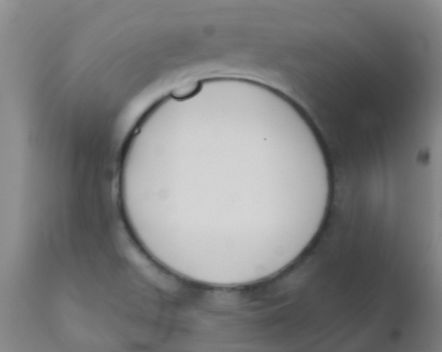 X0000110721511200907022034