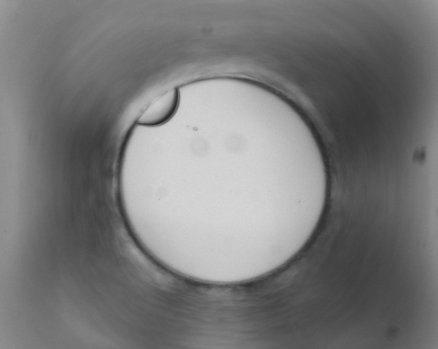 X0000110721512200907022034