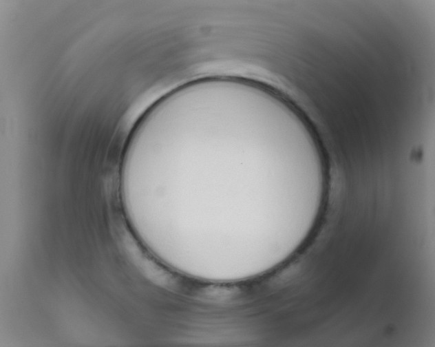 X0000110721513200907022034