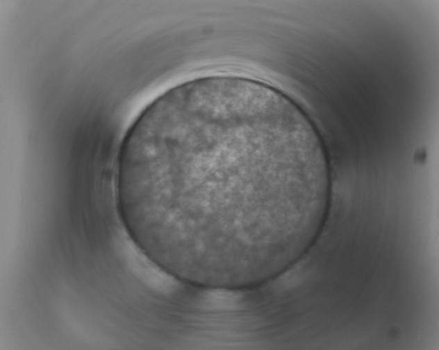 X0000110721514200907022034