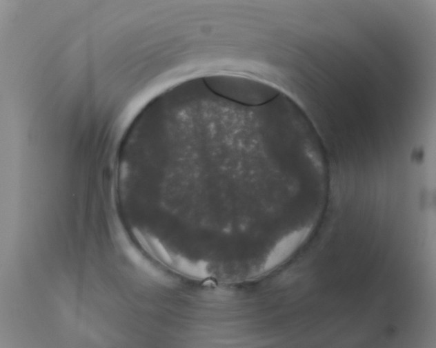 X0000110721515200907022034