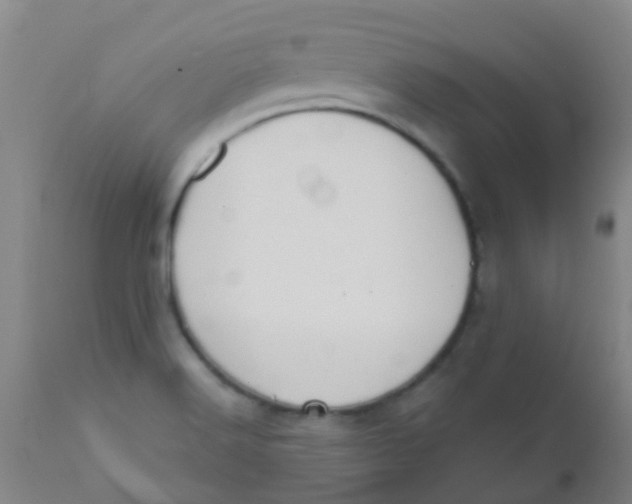 X0000110721516200907022034