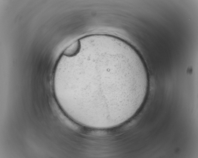 X0000110721517200907022034