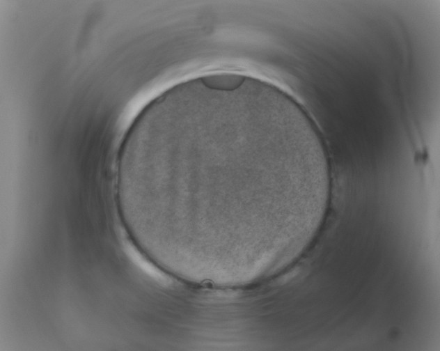 X0000110721519200907022034