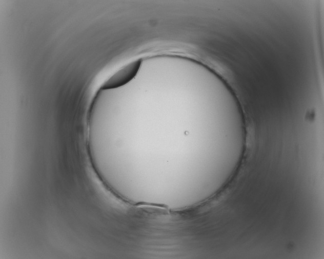 X0000110721520200907022034