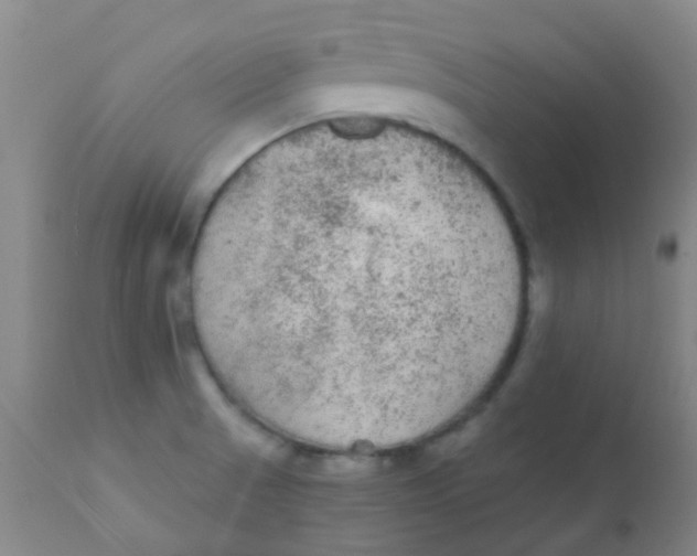 X0000110721521200907022034