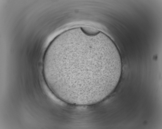 X0000110721523200907022034