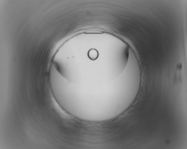 X0000110721524200907022034