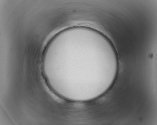 X0000110721525200907022034