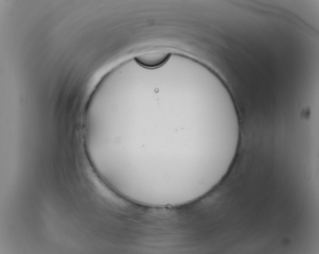 X0000110721526200907022034